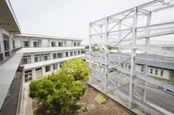 中庭と建物