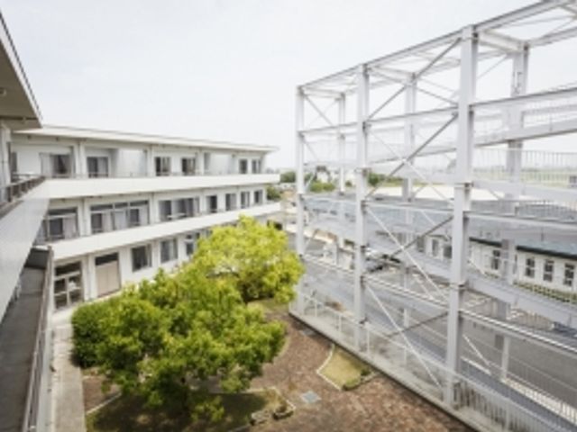 中庭と建物 中庭 広々とした中庭には、自然光が差し込みます。働く環境として、落ち着いた雰囲気を提供します。