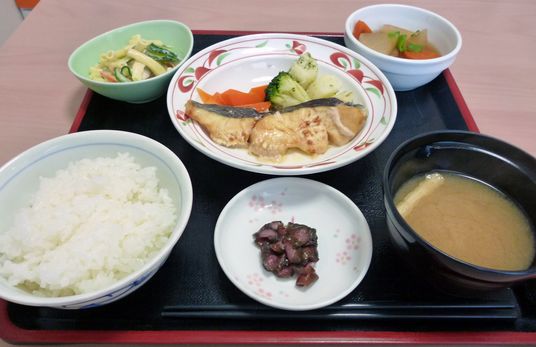 栄養豊富な食事