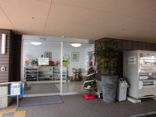 エントランスの装飾と植物