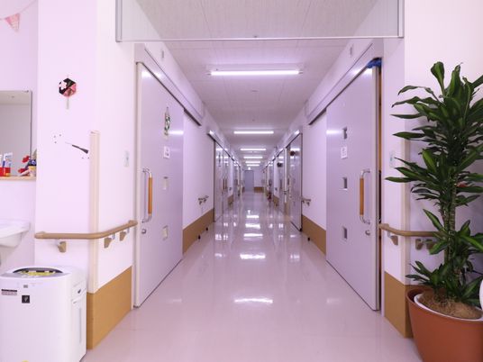 清潔な廊下の様子