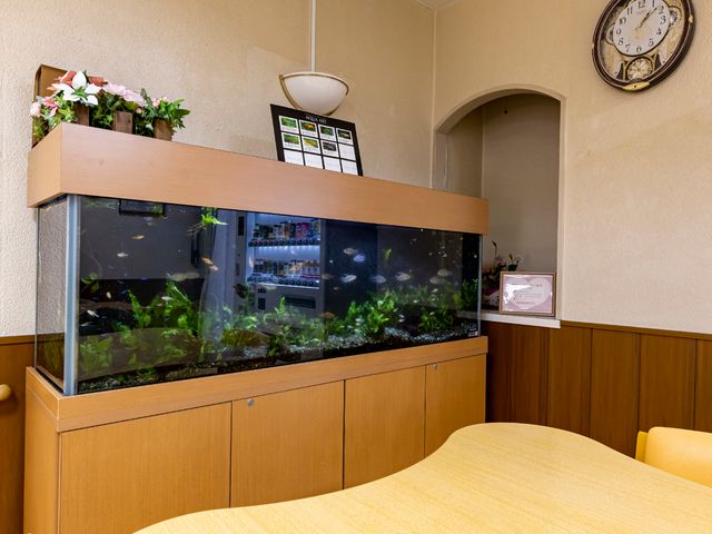 水槽が設置されたダイニング 共有スペース 居心地の良いダイニングで、色とりどりの魚が癒しを提供しています。