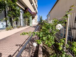 中庭の明るい風景