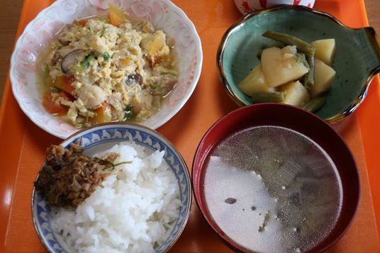 バランスの良い食事例
