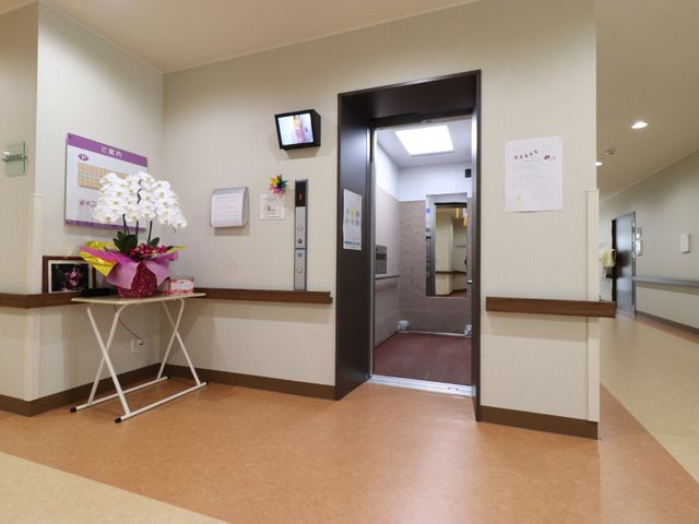 廊下に花と掲示物 エレベーター 清潔感のあふれる廊下で、壁には情報掲示物が整然と配置されています。職員や利用者の皆さんが快適に過ごせる工夫が見受けられます。