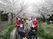 桜並木の中庭