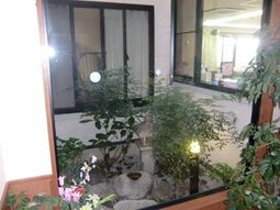 和やかな中庭の風景