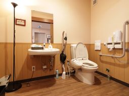 手すり付き清潔なトイレ