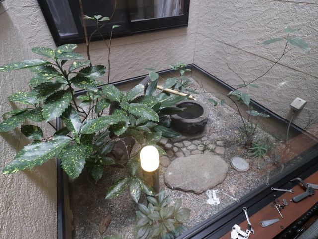 緑豊かな中庭の風景 中庭 自然光が差し込む、植物に囲まれた落ち着ける中庭です。ここでの時間が、日々の憩いと癒しを提供します。