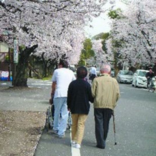 桜並木の散歩道