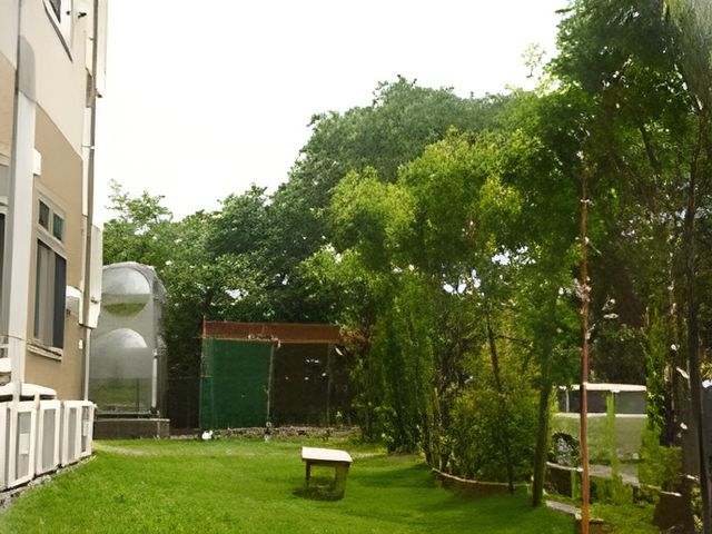 緑豊かな風景の庭 庭 自然に囲まれた庭では、リラックスしながら休憩が可能です。木々に囲まれた癒しの空間です。