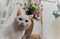 猫と花の飾り