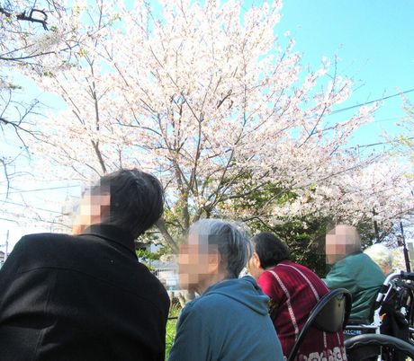 満開の桜と人々の様子