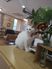 白い猫と本棚がある空間