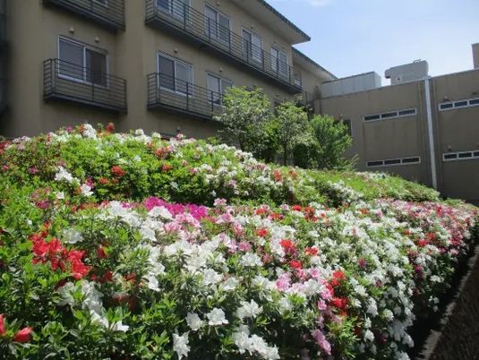 花壇のある中庭  