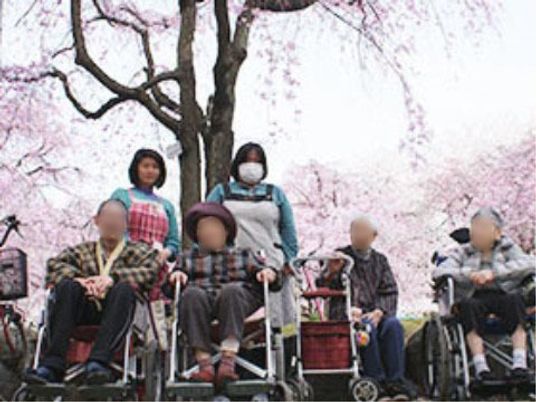 桜並木と共に過ごす人々