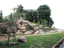 緑豊かな中庭風景