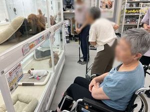 店内のペット展示