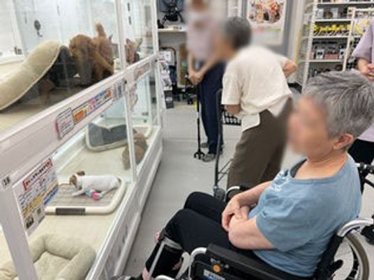 店内のペット展示