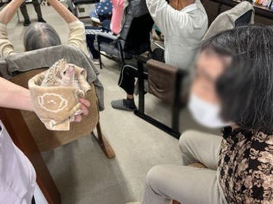 動物との触れ合い
