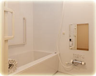 清潔な浴槽の浴室