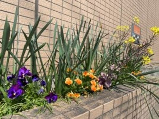 花壇の植栽が並ぶ外構  