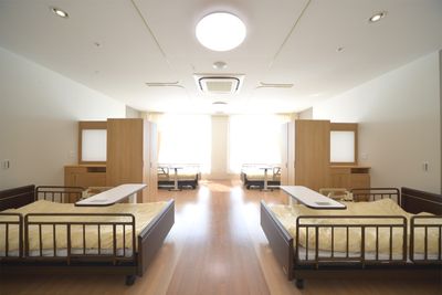 日の光が差し込む居室