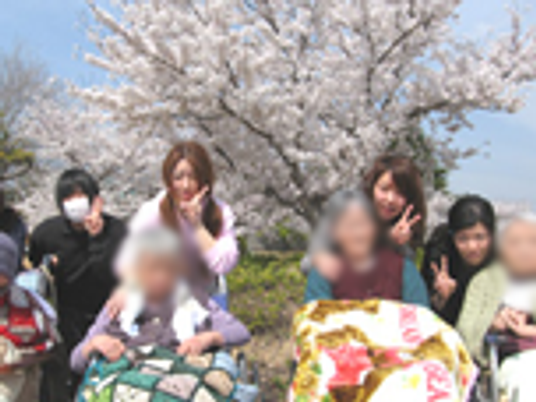桜と交流