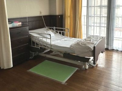 自然光が差し込む居室