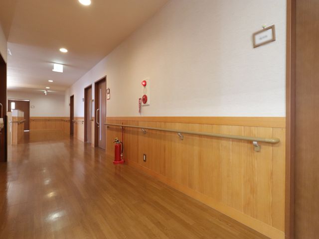 清潔な廊下と扉 廊下 ゆとりある通路は木目調の温かみを感じられ、手すりが整備されており、安全で快適な移動をサポートします。