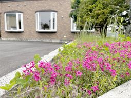 建物前の色鮮やかな花々