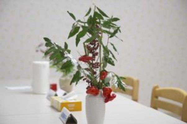 テーブル上の植物