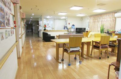 柔らかな光のリビング