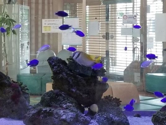 魚が泳ぐロビー  