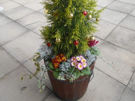 花飾りの植木鉢の庭  