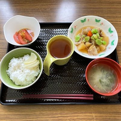 栄養満点の美味しい食事