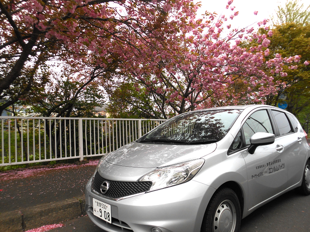 送迎車と桜並木の外観 外観   桜が咲く道端に送迎車が停まっており、落ち着いた印象です。利用者の送迎シーンをイメージしやすいです。
