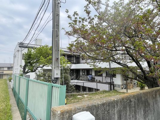 緑が多い外観
