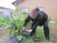 庭で植物の世話をする人