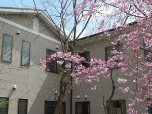 桜が見える外観  