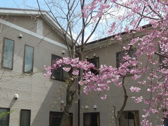 桜が見える外観  