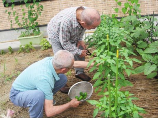 庭で植物の世話をする人々