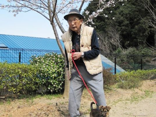散歩中の高齢者と犬