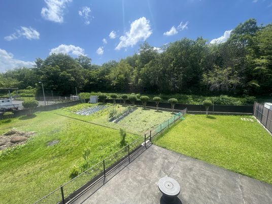 緑豊かな庭園