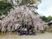 桜と共に笑顔の集合