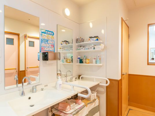 洗面所の清潔な一コマ