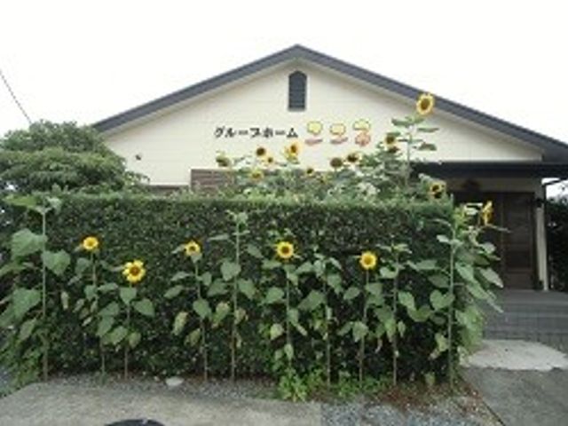 緑に囲まれた外観 外観 緑豊かな環境に包まれた職場です。明るい雰囲気でご利用者様をサポートしませんか。