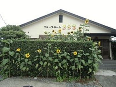 緑に囲まれた外観