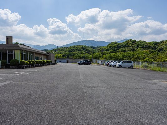 広い駐車場と緑の景色