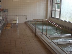 手すり付きの浴槽がある浴室  